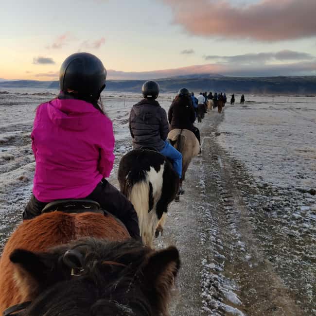 Hveragerdi: The Siggi Horse Riding Tour - What the Strongest Feedback Tells You