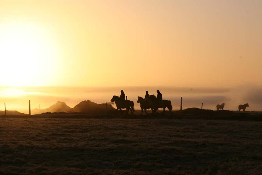 Hveragerdi: The Siggi Horse Riding Tour - Crossing the River and Passing Lava Fields