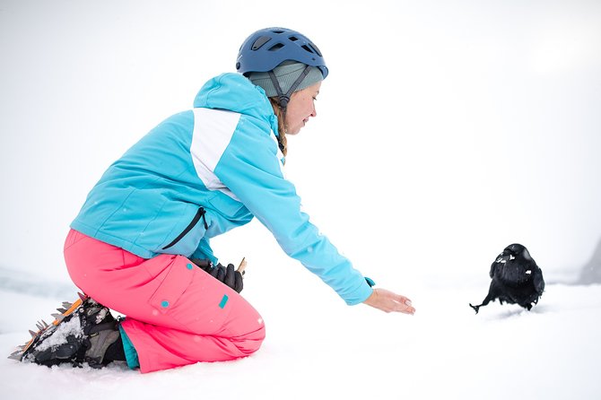 Ice Cave Captured - Professional Photos Included - What you receive after the activity