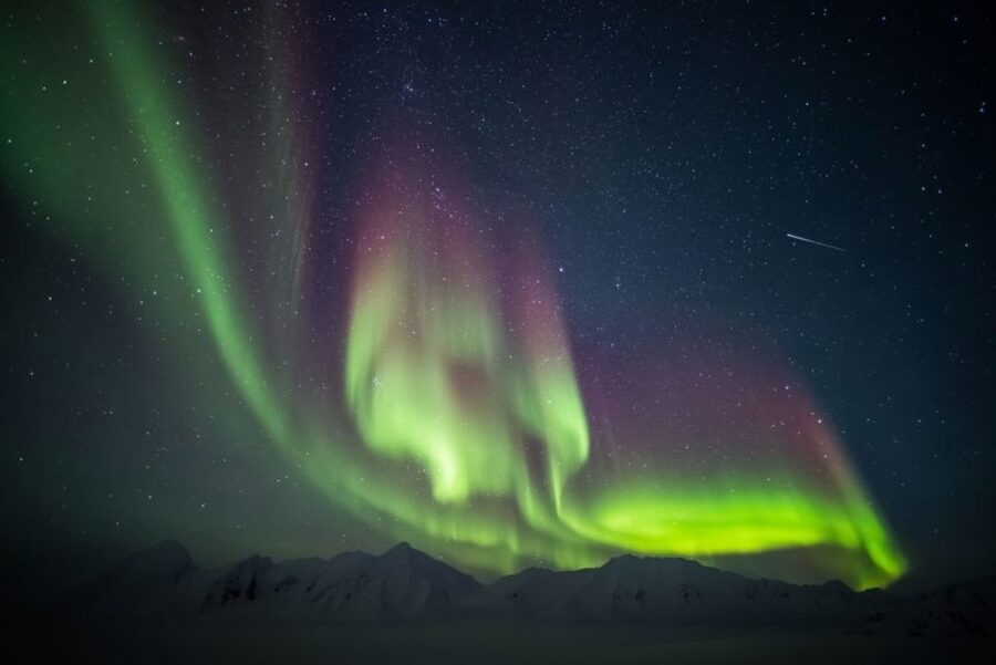 Iceland: South Coast and Northern Lights Tour - Reynisfjara demands respect