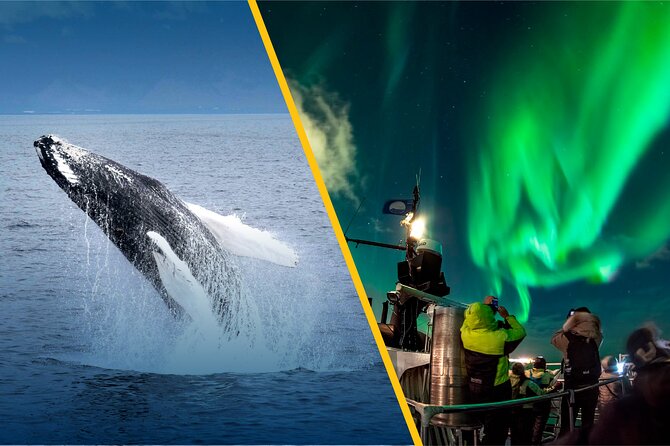 Iceland Super Saver: Northern Lights Cruise plus Whale-Watching Tour from Reykjavik - The Northern Lights cruise from 9 or 10 p.m.