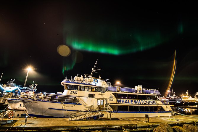 Iceland Super Saver: Northern Lights Cruise plus Whale-Watching Tour from Reykjavik - What the onboard setup adds