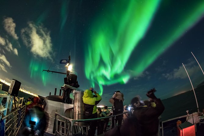 Iceland Super Saver: Northern Lights Cruise plus Whale-Watching Tour from Reykjavik - Pickup, meeting point, and timing