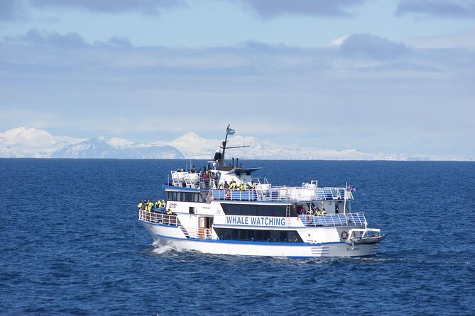 Icelandic Horse Riding and Whale Watching Tour from Reykjavik - Moving from the stable to Reykjavik Old Harbor
