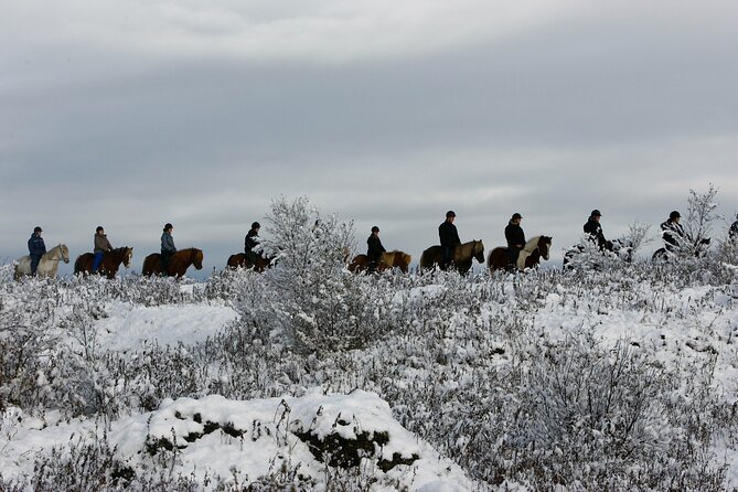 Icelandic Horse Riding and Whale Watching Tour from Reykjavik - Riding through lava fields and open moorland