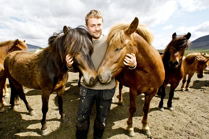 Icelandic Horseback Riding Tour Including Pick Up from Reykjavik - Getting fitted for boots, helmets, and Icelandic weather