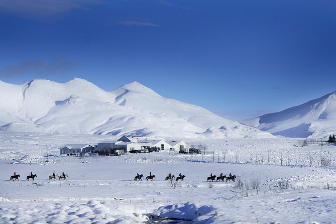 Icelandic Horseback Riding Tour Including Pick Up from Reykjavik - What the riding itself feels like