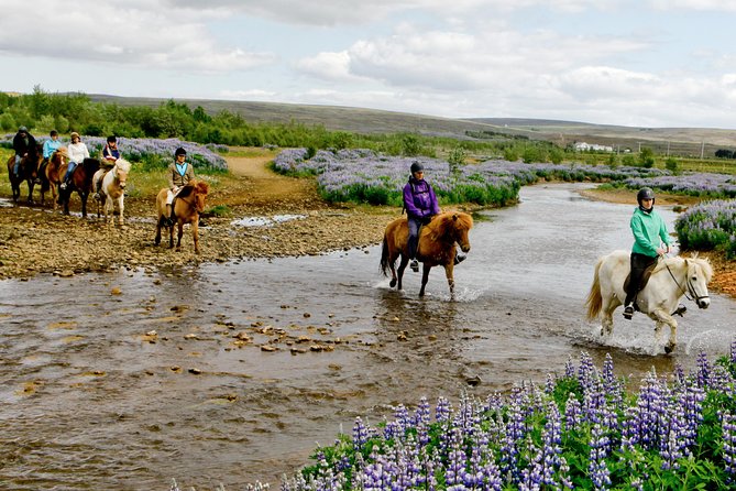 Icelandic Horseback Riding Tour Including Pick Up from Reykjavik - Meeting a horse matched to your experience