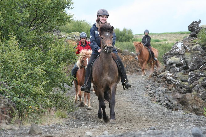Icelandic Horseback Riding Tour with Pickup Option from Reykjavik - Key points before you saddle up