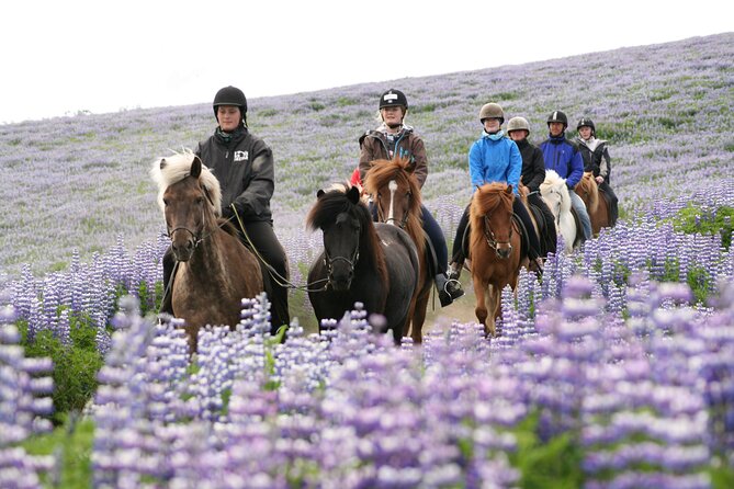 Icelandic Horseback Riding Tour with Pickup Option from Reykjavik - Lava fields, moorland, and volcanic views