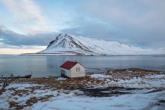 Icelands Reykjavik Self Guided Walking Audio Tour - Harpa’s glass walls and a playful story