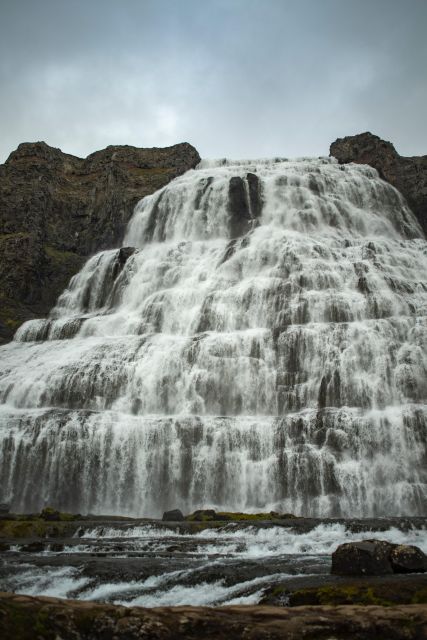 Isafjordur: Dynjandi Waterfall Tour and Icelandic Farm Visit - What the guides add to the day