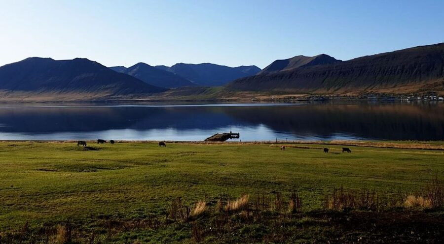 Isafjordur: Dynjandi Waterfall Tour and Icelandic Farm Visit - Timing, fitness, and practical preparation
