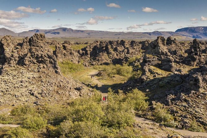 Lake Myvatn, Hot-Springs & Godafoss Waterfall Tour from Akureyri - Lunch: useful, filling, and not a picnic feast