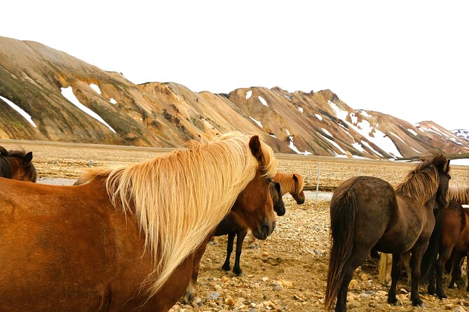 Landmannalaugar Hiking, Haifoss Waterfall and Hot Springs Tour - Háifoss rewards the rough road