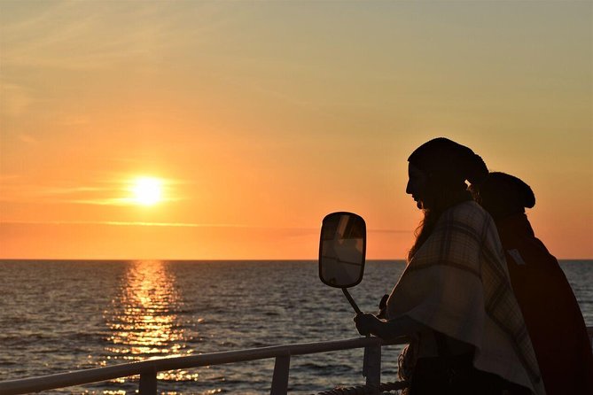 Magical Whales in the Midnight Sun | from Reykjavik - Key things to know before sailing