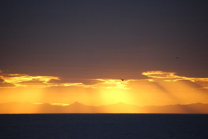 Midnight Sun Whale Watching from Reykjavik - Staying warm on deck
