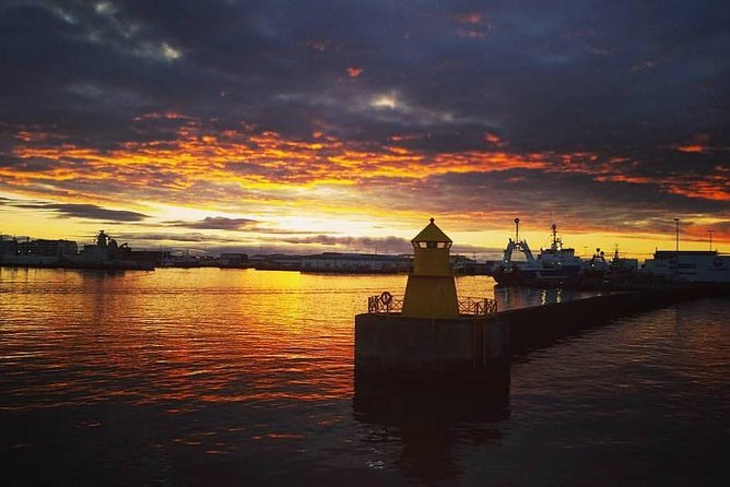 Midnight Sun Whale Watching from Reykjavik - Who will enjoy this evening on the water?