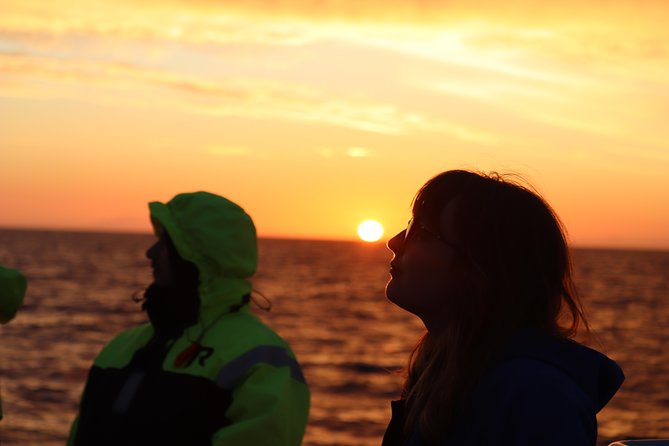 Midnight Sun Whale Watching from Reykjavik - What happens once you reach the bay