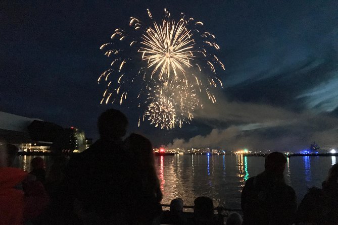 New Year's Eve Fireworks Cruise in Reykjavik - What the fireworks view is really worth
