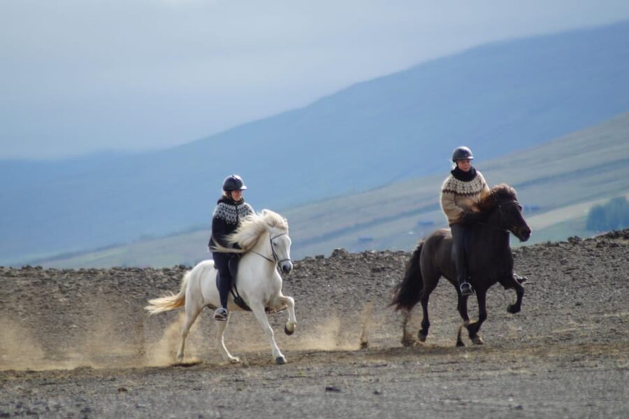 North Iceland: Horseback Riding Tour - Quick take: what makes this ride special