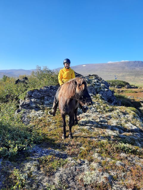 North Iceland: Horseback Riding Tour - Crossing water and volcanic ground