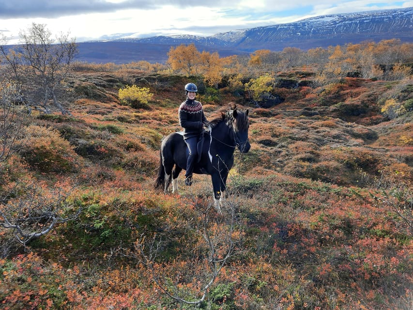 North Iceland: Horseback Riding Tour - Across the black sand plain