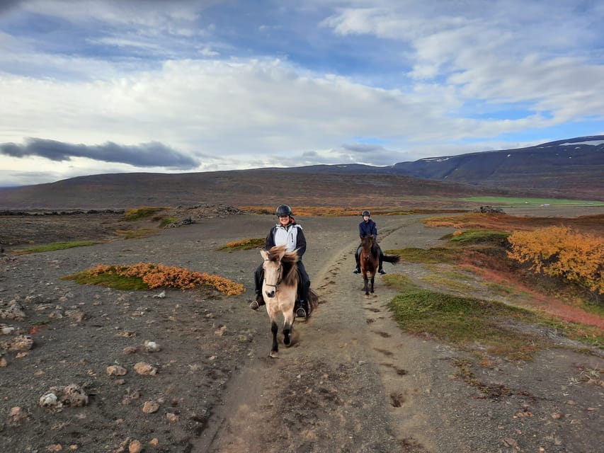 North Iceland: Horseback Riding Tour - Weather, clothing, and physical demands