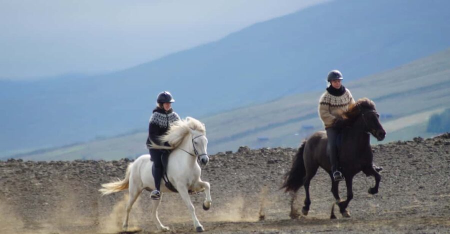 North Iceland: Horseback Riding Tour - Getting comfortable with an Icelandic horse
