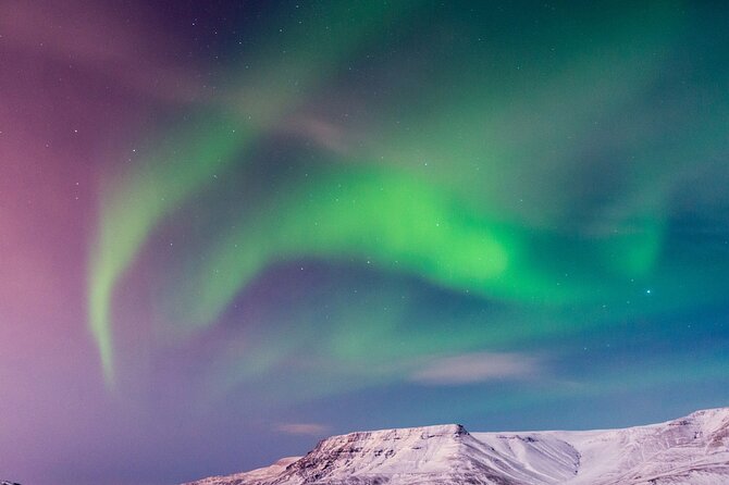Northern Lights Boat Cruise from Reykjavik - Warm drinks, Wi-Fi, and a useful indoor retreat