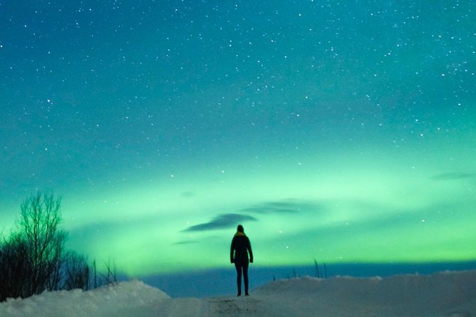 Northern Lights Bus Tour from Reykjavik with Hot Chocolate - Guides, stories, and the waiting time
