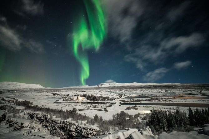 Northern Lights Bus Tour from Reykjavik with Hot Chocolate - Large-bus comfort versus a small-group tour