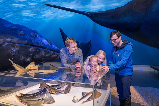 Northern Lights by Boat with a Backup Plan from Reykjavik - Is $83.88 a fair price?
