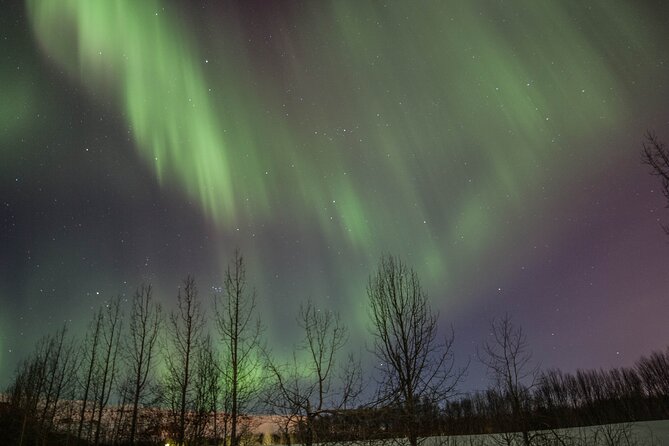 Northern Lights Classic MiniBus Tour from Akureyri - The guides make more difference than the brochure