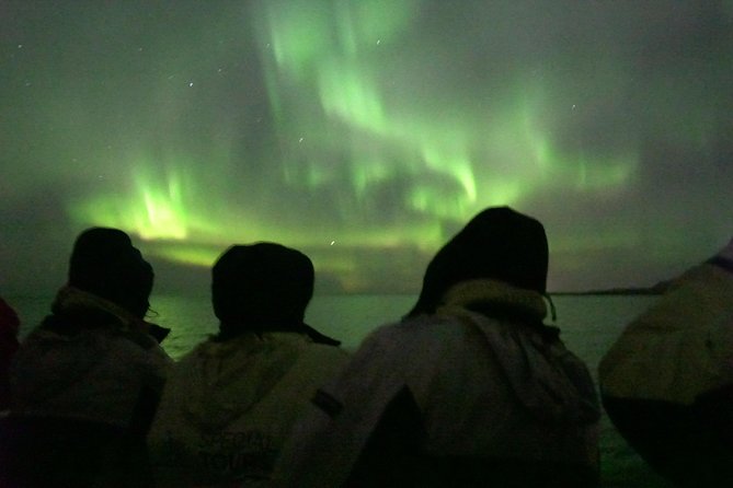 Northern Lights Cruise from Reykjavik Including Photos - Warmth, clothing, and the open deck