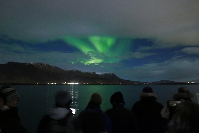 Northern Lights Cruise from Reykjavik Including Photos - Who should book this cruise?