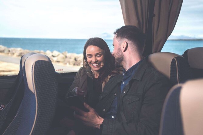 Northern Lights Guided Bus Tour from Reykjavik - What the guide adds to the night