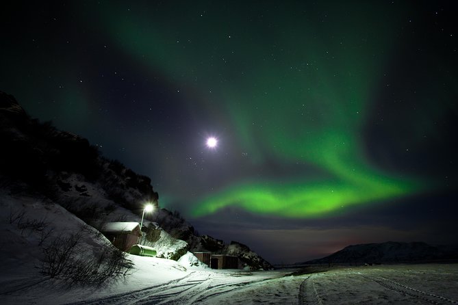 Northern Lights Minibus Tour with Hot Cocoa, Blankets & Photos - A four-hour hunt, not a timed performance