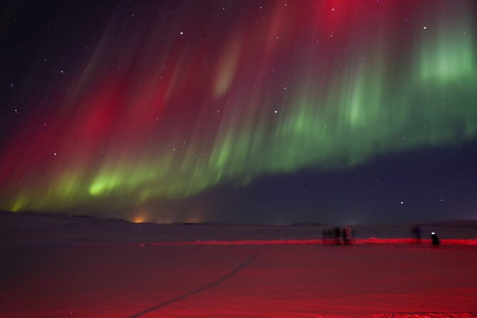 Northern Lights Private Tour from Reykjavik - What the $445 price really buys