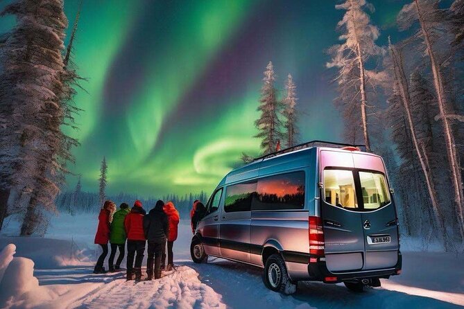 Northern Lights Small Group Tour from Reykjavik - What the aurora science adds