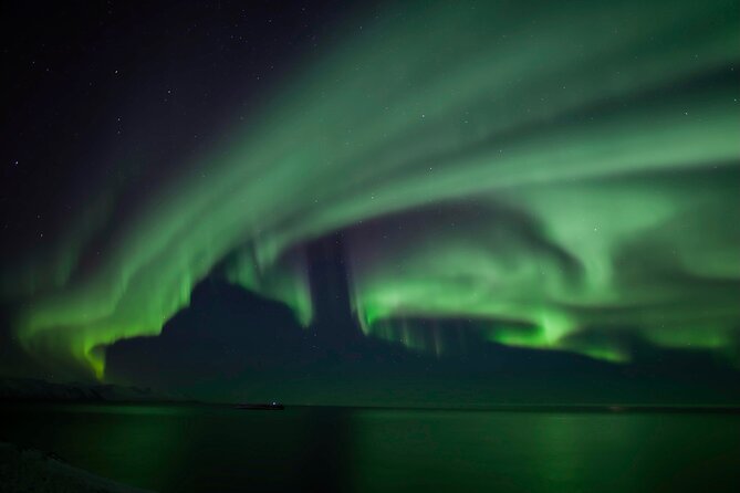 Northern Lights Tour from Husavik - The price and what you receive for $173.64