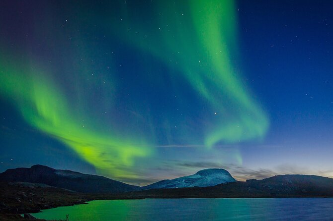 Northern Lights Yacht Cruise in Reykjavik - City glow is the main tradeoff