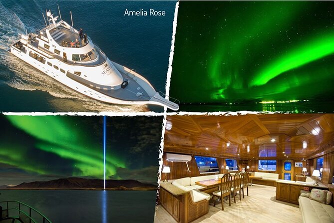 Northern Lights Yacht Cruise in Reykjavik - Photography from a moving yacht
