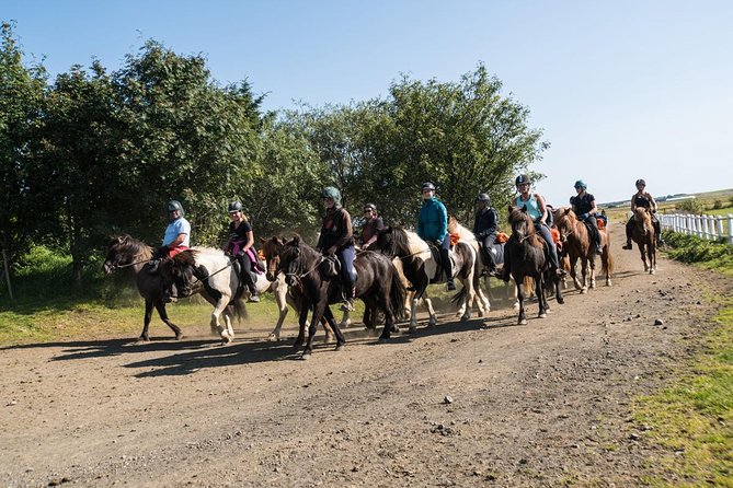 One-Hour Horseback Riding Tour in the Icelandic Countryside - A gentle first ride with Icelandic horses