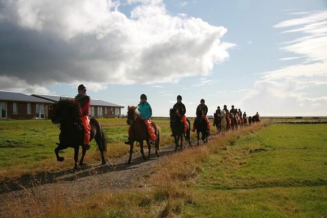 One-Hour Horseback Riding Tour in the Icelandic Countryside - What to bring and how to prepare