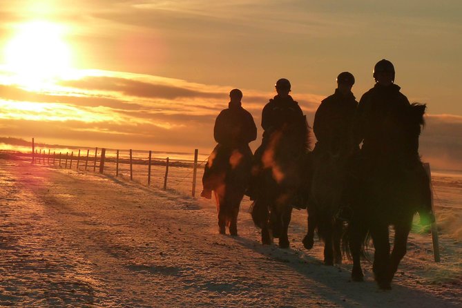 One-Hour Horseback Riding Tour in the Icelandic Countryside - Riding the paths and meadows around Vellir