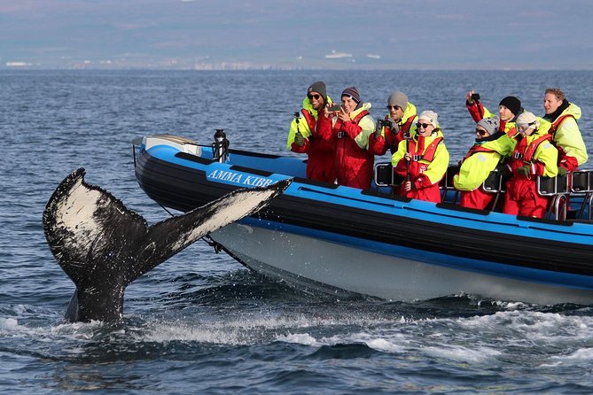 Original Big Whale Safari & Puffins Speedboat Tour from Húsavík - Getting ready for a cold, quick RIB ride