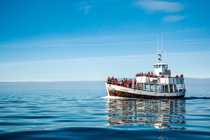 Original Carbon Neutral Whale Watching Tour from Húsavík - Weather, cancellations, and changes of port