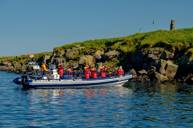 Premium Small-Group Puffin & Bird Watching tour from Reykjavík - What the $105.22 price buys you