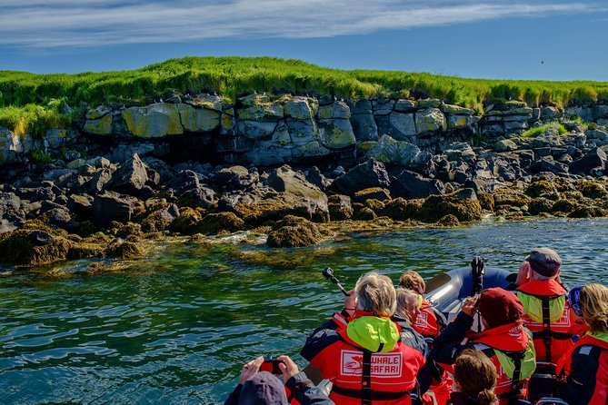 Premium Small-Group Puffin & Bird Watching tour from Reykjavík - Booking, cancellation, and timing
